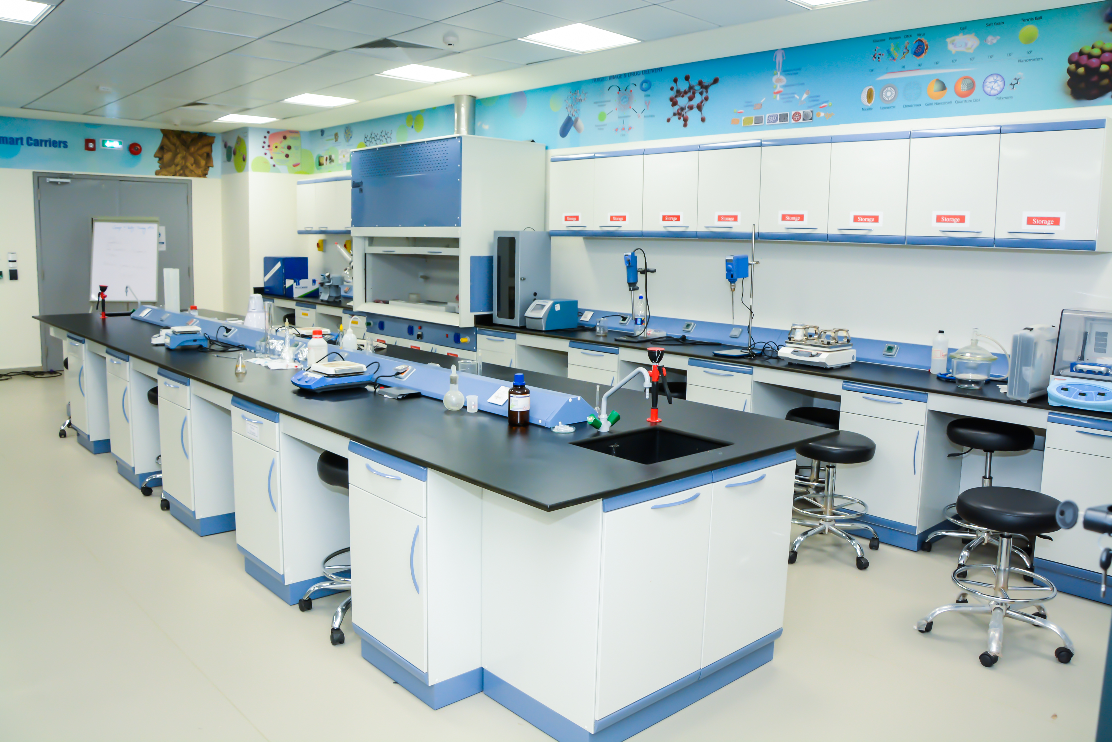 Baisch Lab Workstations