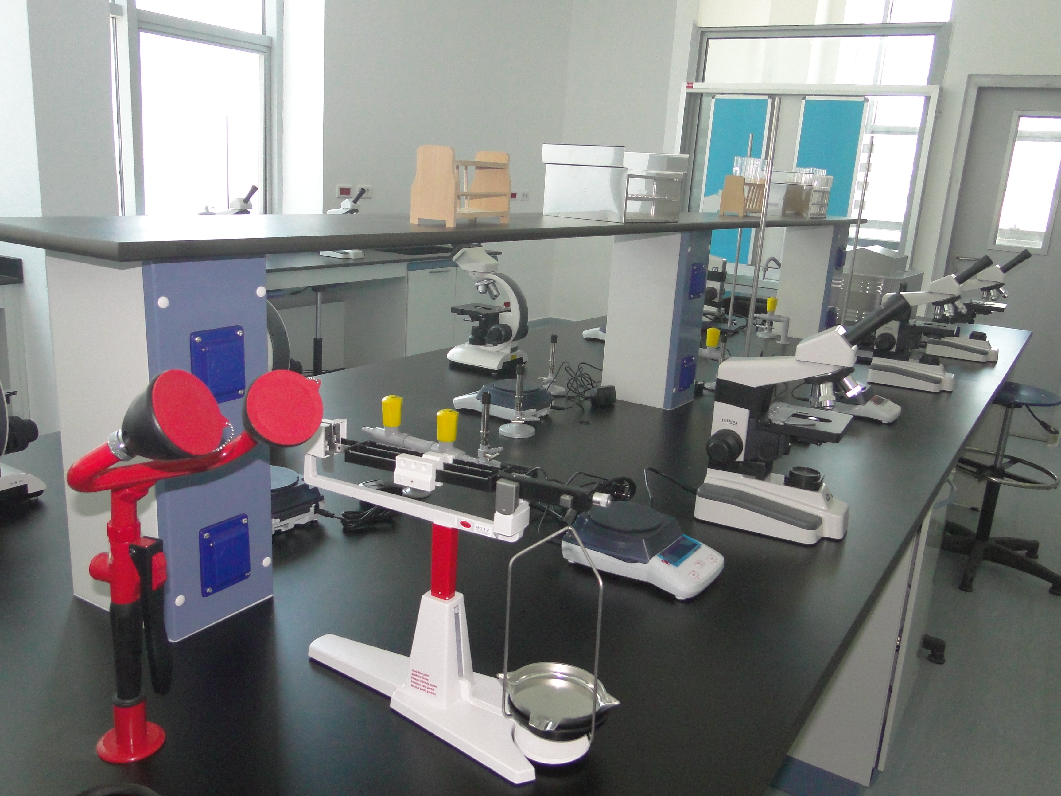 Baisch Egypt Lab Workstation with Microscopes