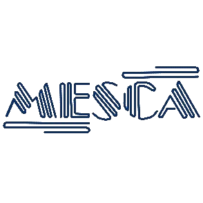 MESCA Egypt Logo